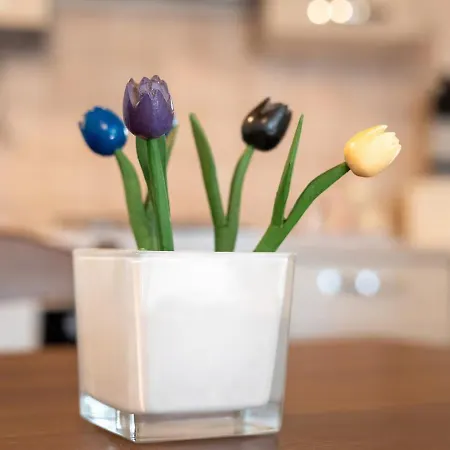 B Holidays 아파트